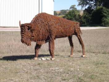 Young bison located at R. J. Thomas, Manufacturing on Hwy. 59 south of Cherokee, Iowa. A gentleman in Aurelia, Iowa made this, among others around the county.